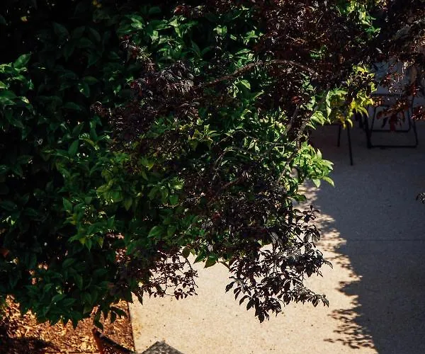 Trait House Апартаменты